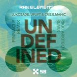 Portada para "Undefined Remixes"