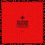 Artwork voor "Big Room House Groovers 2017"