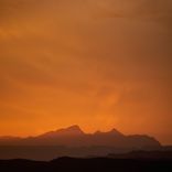 Artwork for "Organize"