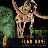 Artwork for "Funk Bone"