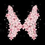 Artwork für "Blossoms"