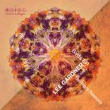 Artwork für "Birds"