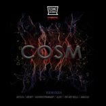 Artwork für "COSM"