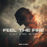 Portada para "Feel The Fire"
