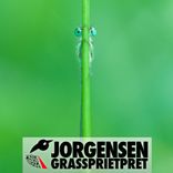 Artwork for "Gras Spriet Pret"