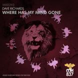 Where Has My Mind Gone