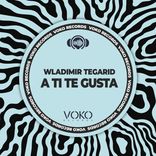 Artwork for "A Ti Te Gusta"