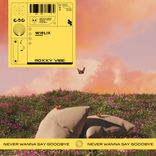 Artwork for "Never Wanna Say Goodbye"