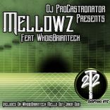 Portada para "Djprocastronator Present's Mellow'z"