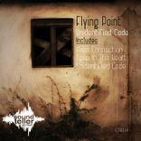 Artwork for "Unidentified Code"