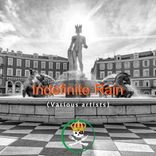Artwork voor "Indefinite Rain"