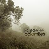 Artwork für "Calamites"