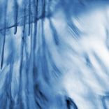 Artwork voor "Ornaments In One Distorted Mind"