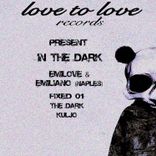 Artwork voor "In the Dark"