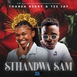 Artwork for "Sthandwa Sam"