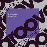 Artwork for "House You"
