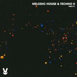 Portada para "Melodic House & Techno II"