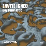 Artwork for "Envite Igneo"