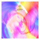 Artwork voor "Perpetual"