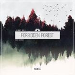 Artwork for "Forbidden Forest"