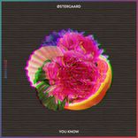 Artwork für "You Know"