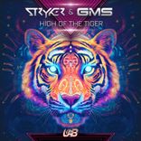 Portada para "High of the Tiger"