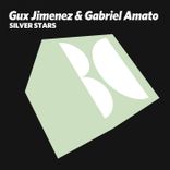 Portada para "Silver Stars"