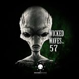 Artwork für "Wicked Waves Vol. 57"