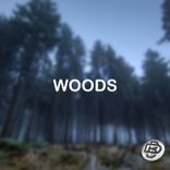 Artwork voor "Woods"