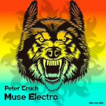 Portada para "Muse Electro"