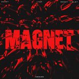 Portada para "Magnet"