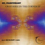 Crocodile in the corner