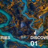 Artwork für "Discoveries 01"