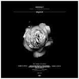 Artwork for "Anomaly"