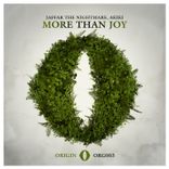 Artwork for "More Than Joy"