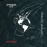 Artwork for "Potara"