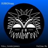 Artwork for "Follow Me"