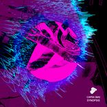 Artwork for "Synopsis"