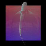 Artwork for "RTFCTS018"