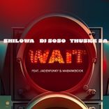 Artwork voor "Wait (Waag N' Bietjie)"