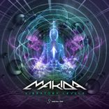 Portada para "Vibratory Levels"