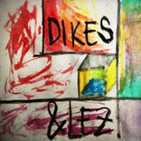Artwork for "Dikes"