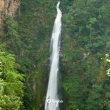 Portada para "Wake Up and Dream V.A"