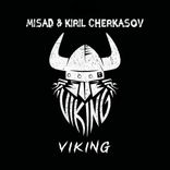 Artwork voor "Viking"