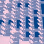 Portada para "Wasted Champion"