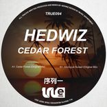 Artwork for "Cedar Forest"