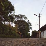 Artwork for "Forward"