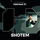 Artwork for "Hatched 31"