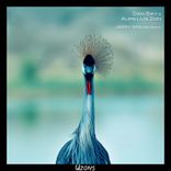 Artwork for "Wüstentanz (Jerry Spoon Remix)"