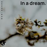Artwork for "In a dream"